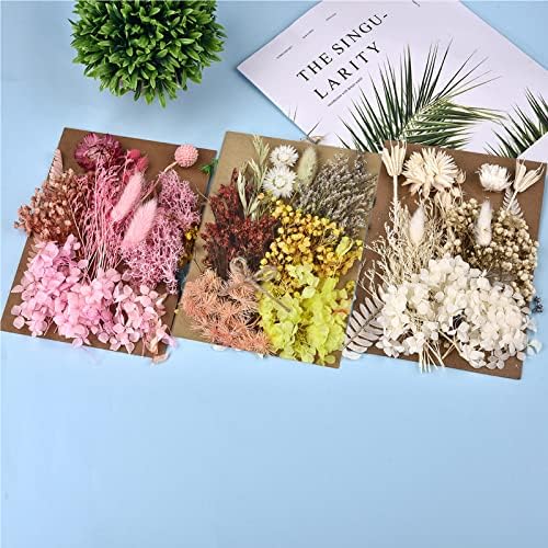 ДАЛАРАН 6 Опаковки, Изсушени Пресовани цветя за производство на Сапуни, Свещи и Смола, Много Естествени Пресовани цветя,