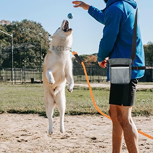 Каишка за дресура на кучета FAITUCOS за големи кучета - Каишка за кучета с дължина 50 метра, с дръжка и чанта за Лакомство