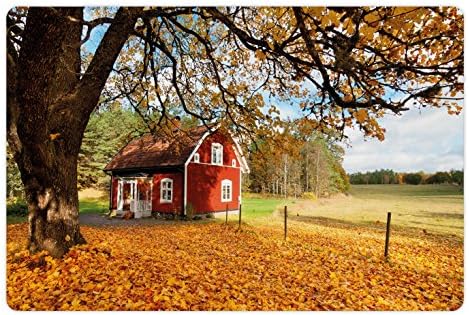 Есента подложка за домашни любимци Ambesonne за храна и вода, Необичаен Традиционен Червен Шведска Къща, Спокойна обстановка