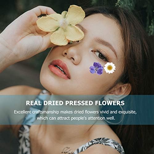 BESPORTBLE 1 Комплект Натурални Сухоцветов DIY Материали, Ръчно изработени от Смесени Пресовани сухи цветя са Истински сухи