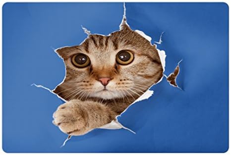 Foldout Подложка за животни за Храна и вода, Коте в Хартиени Крака с Дупки, Изображение Игривого Шотландски Котка, Правоъгълен
