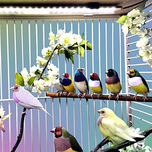 M &M Cage Company - Bird Cage Light - Led лампа за домашни любимци, пълна гама за птици с леко клюнест - Имитира естествената