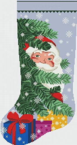 Схеми за кръстосан бод за Отглеждане на PDF, Персонални Подсчитанные Модерни Прости Празнични Чорапи DMC, Сладък Дядо Коледа,