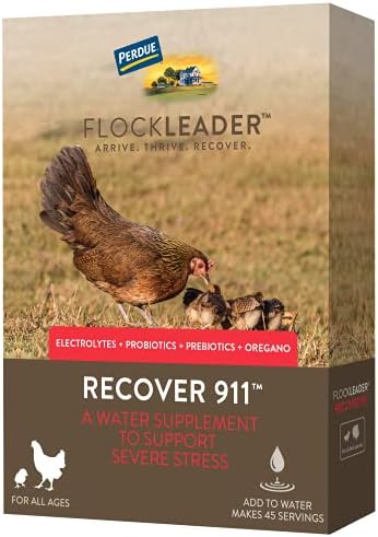 FlockLeader Recover 911, Електролитния Пребиотик, Пробиотик Риган, Добавка за стресови ситуации за Пиле в стадото, 8 грама