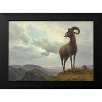 Bierstadt, Albert Black Modern Famed Museum Art Print, озаглавен - Дълго рогата овце